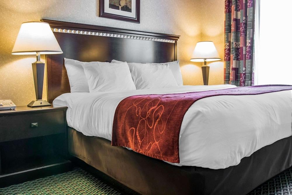 Comfort Suites Canton - Detroit photo 28