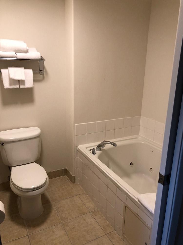 Holiday Inn Selma - Swancourt by IHG photo 27