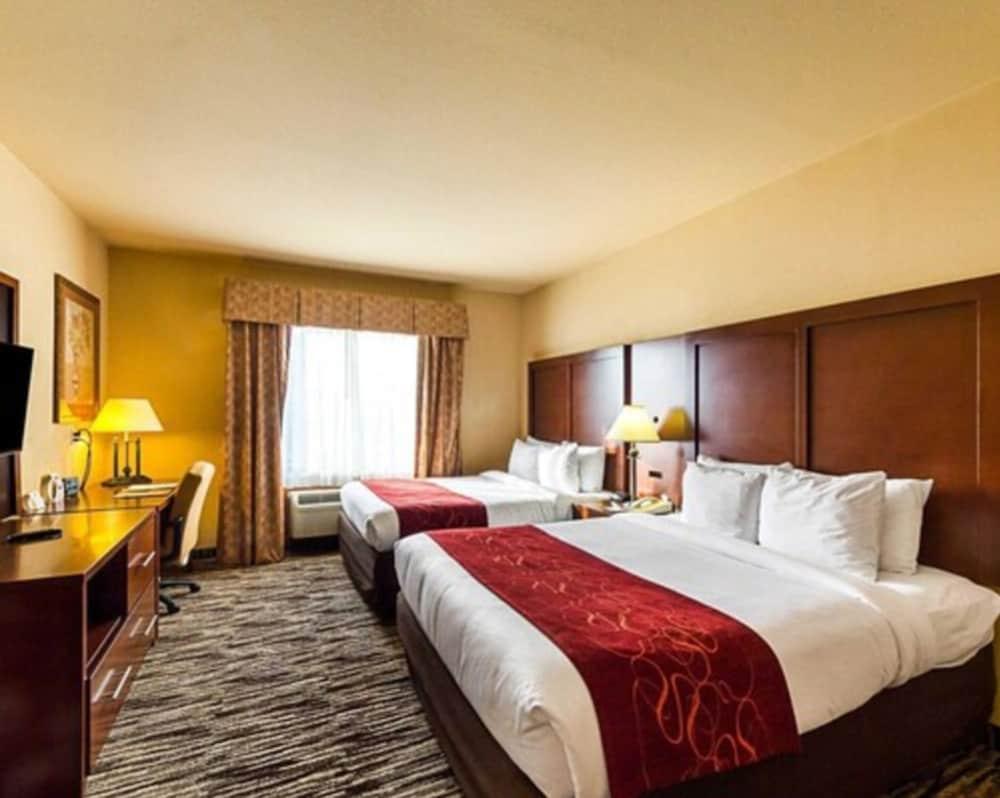 Comfort Suites McAllen photo 24