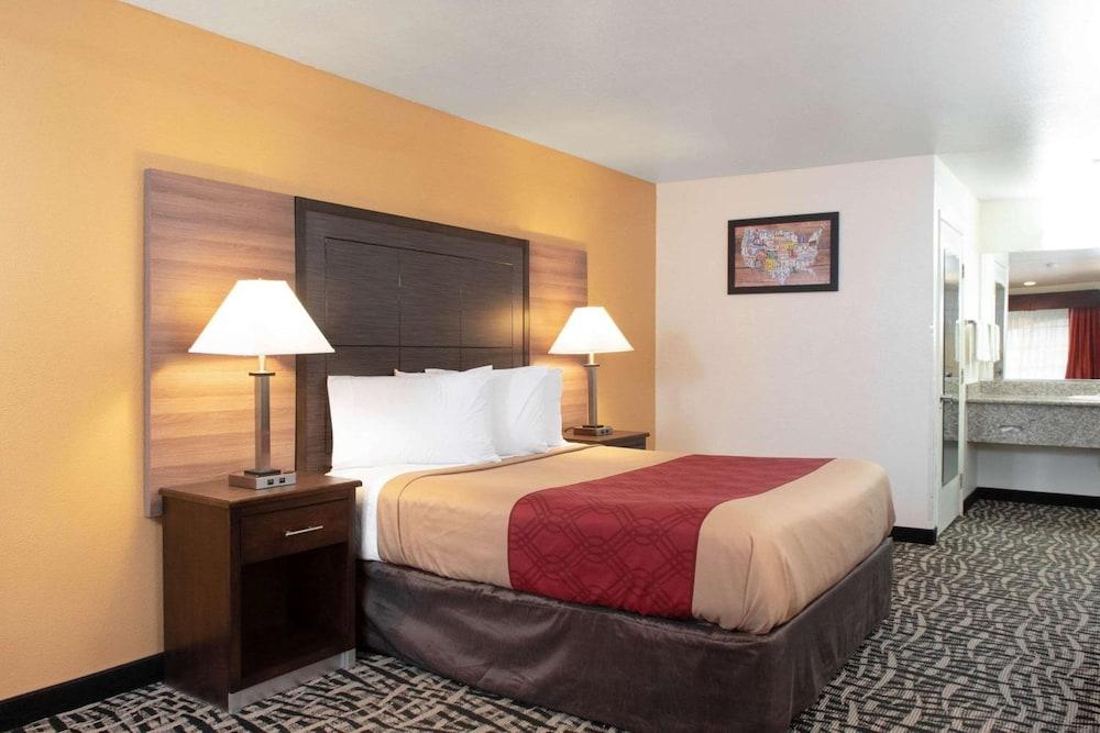 Executive Inn photo 17