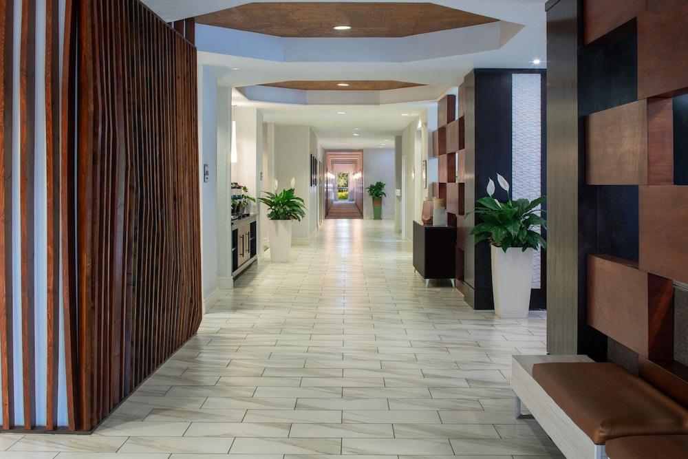 SpringHill Suites by Marriott Convention Center/I-drive photo 3