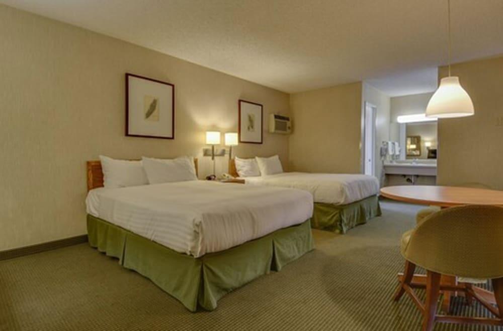 Vagabond Inn Los Angeles at USC photo 28