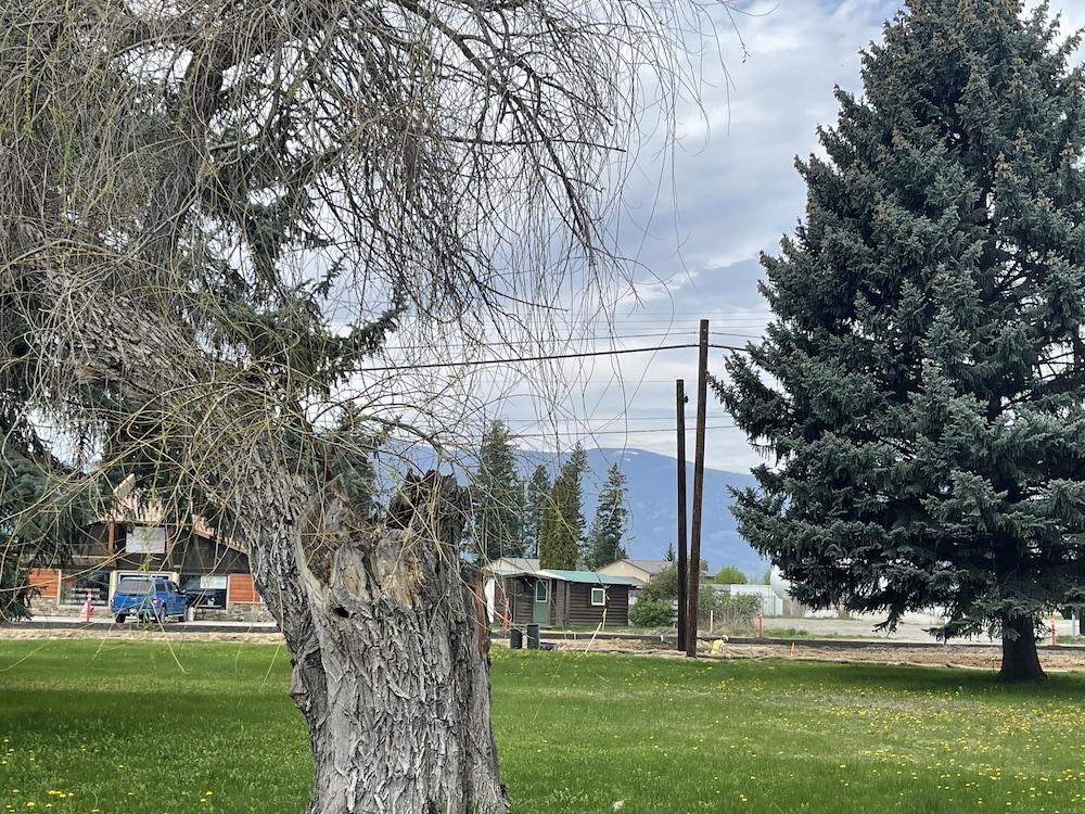 Kootenai Valley Motel photo 89