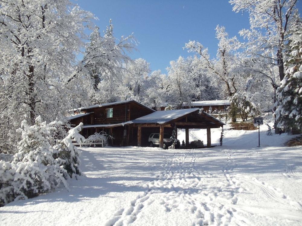 Evergreen Haus photo 57