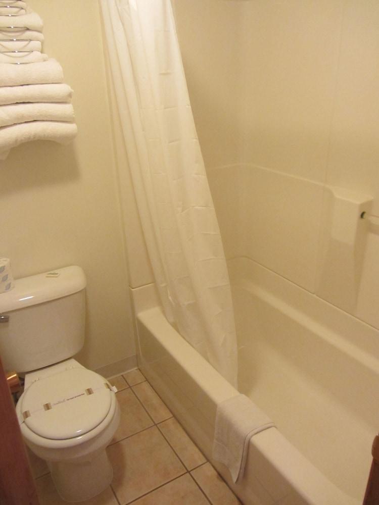Green Dolphin Motel photo 51