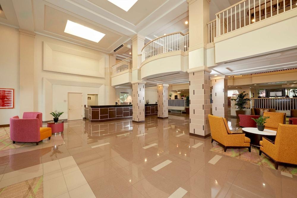 Hilton Grand Vacations Club Flamingo Las Vegas photo 2