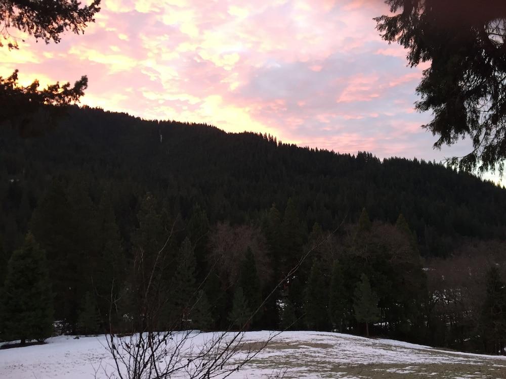 Dunsmuir Lodge photo 55