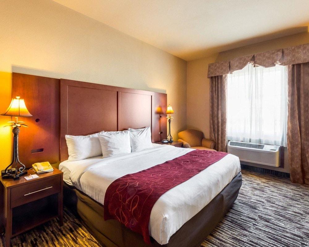 Comfort Suites McAllen photo 4