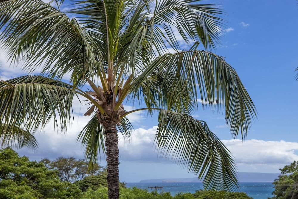 Maui Vista – Maui Condo & Home photo 19