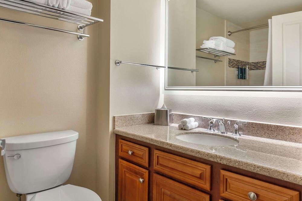 Hilton Grand Vacations Club SeaWorld® Orlando photo 35