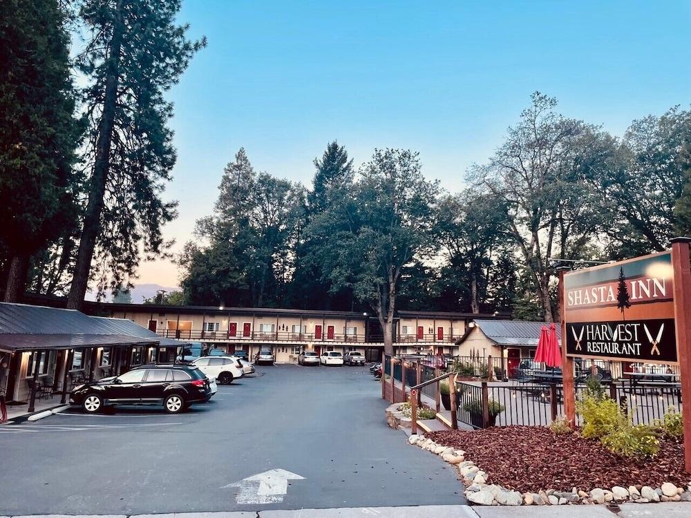 Shasta Inn photo 15