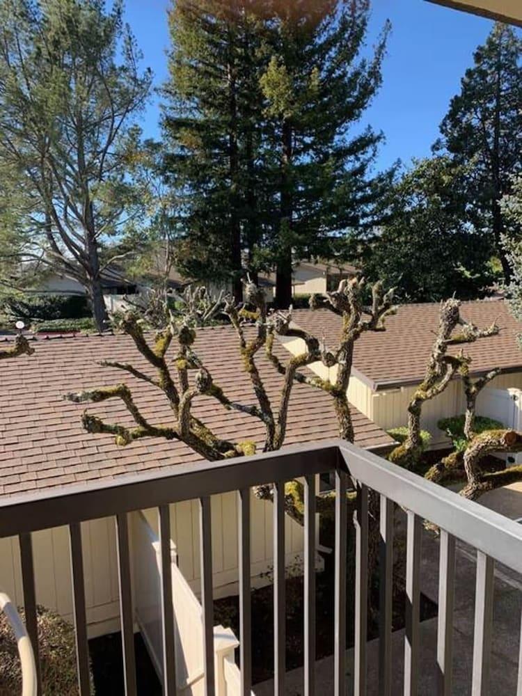 The Napa Residences photo 78