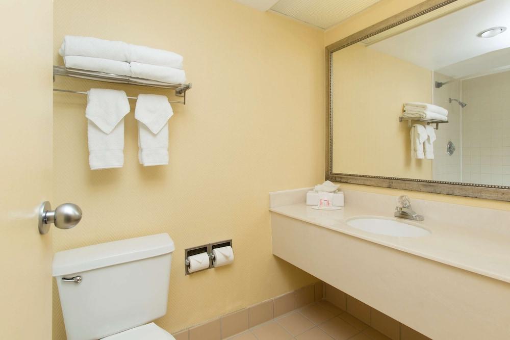 Ramada Plaza Resort & Suites by Wyndham Orlando Intl Drive photo 21