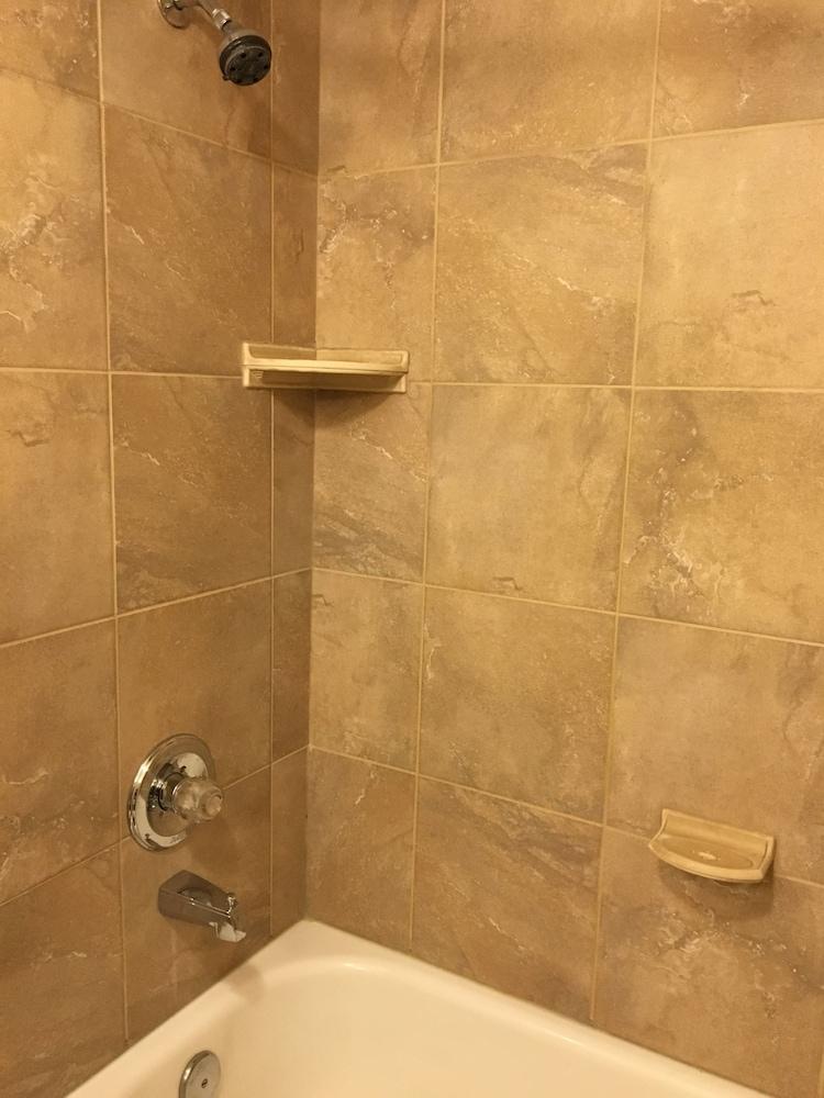 Econo Lodge Darien Lakes photo 34