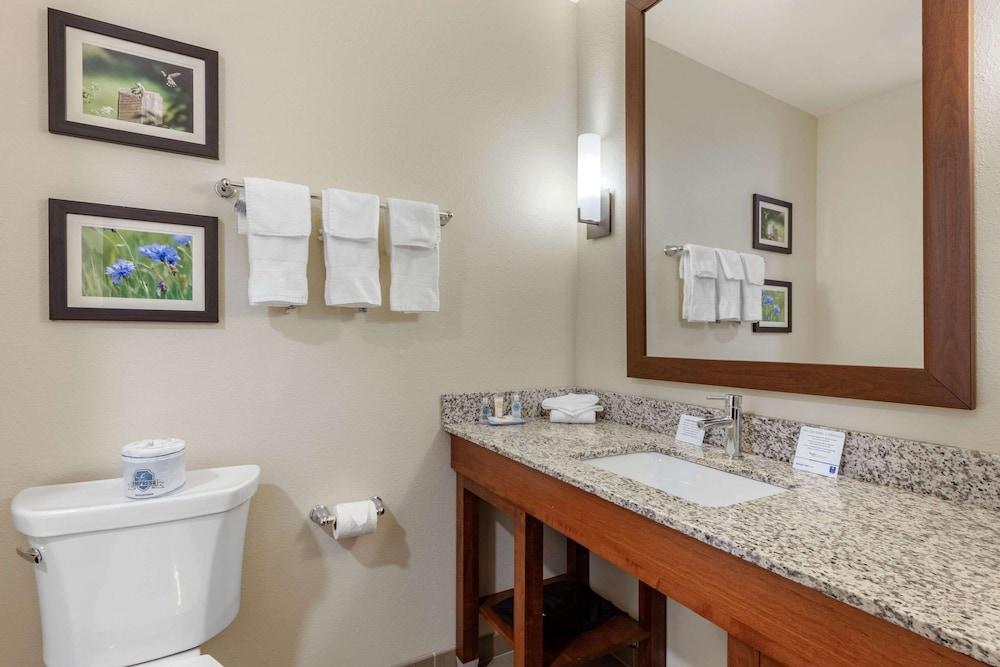 Comfort Inn White House photo 17