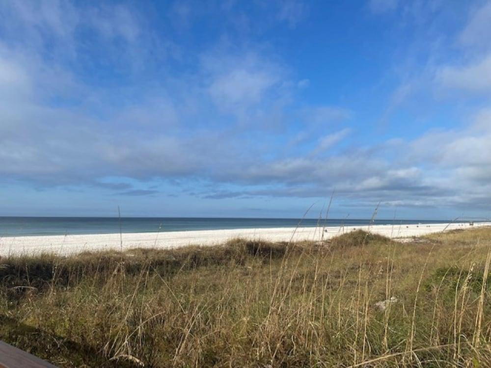 Shores of Panama Beach Resort photo 78