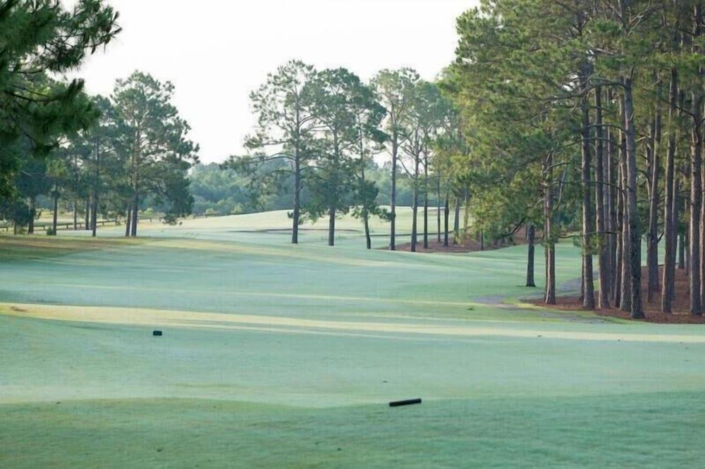 Little Ocmulgee State Park and Lodge photo 9