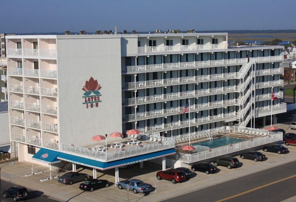 Lotus Inn photo 24