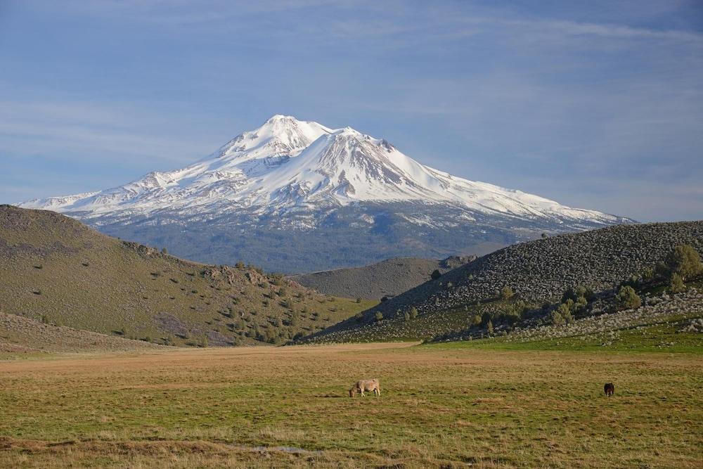 Inn at Mount Shasta photo 30