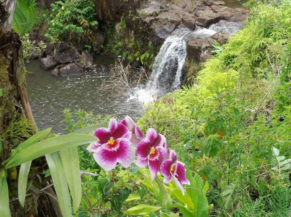 Kikala Waterfall Lodge photo 19