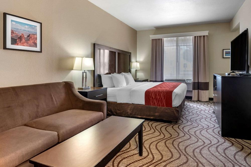 Comfort Inn & Suites Fruita - Grand Junction photo 21