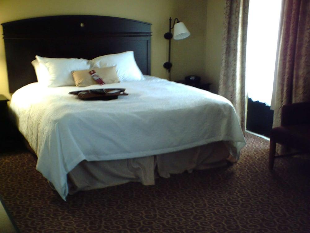 Hampton Inn Vidalia photo 11