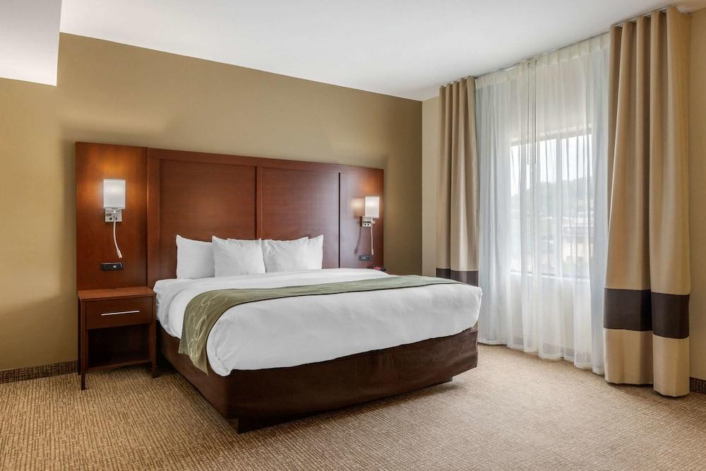 Comfort Suites Johnson City near University photo 3