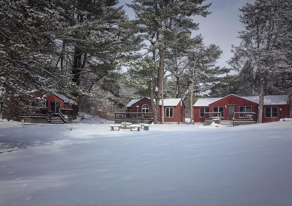 Silver Spruce Resort photo 7