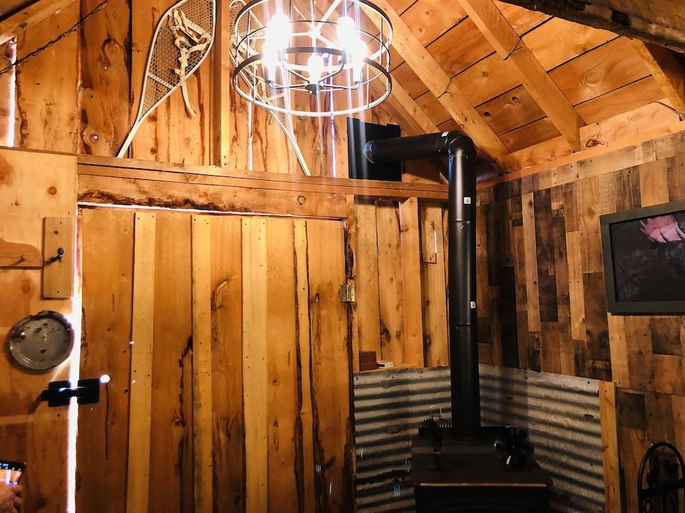 Wrangell Mountain Lodge photo 95