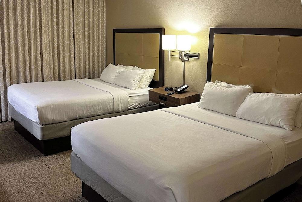 Comfort Inn Darien - North Brunswick photo 27