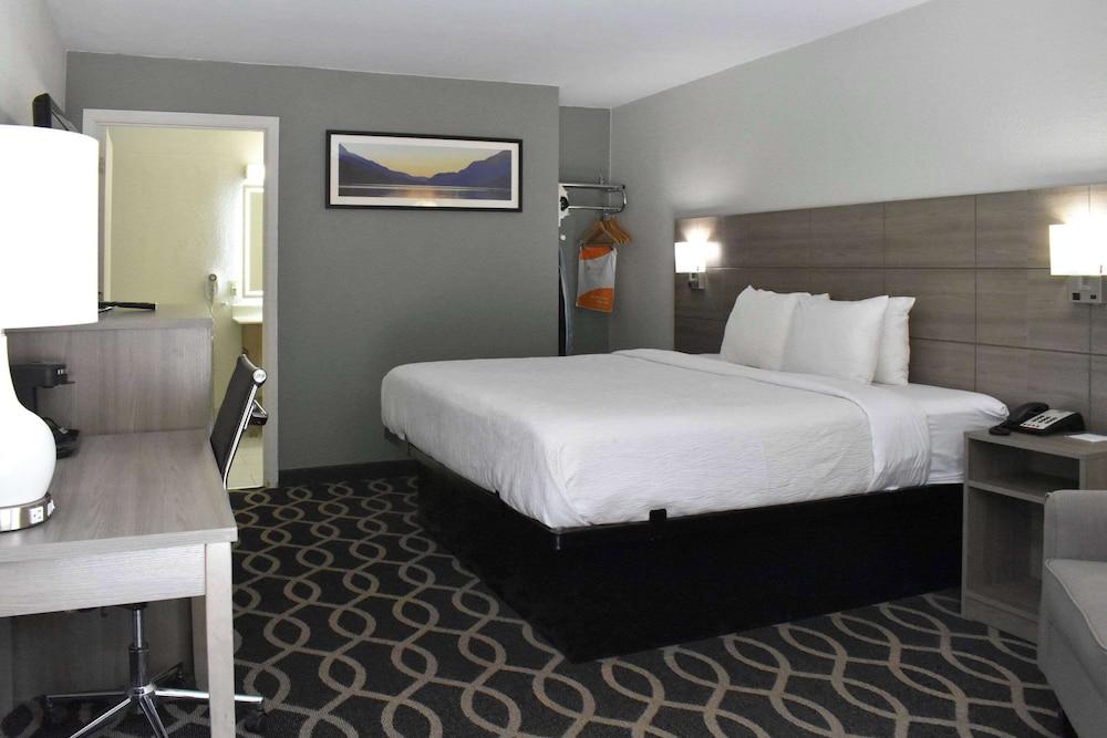 Quality Inn Manning I-95 photo 13