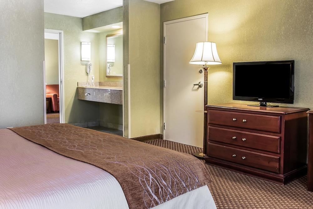 Quality Inn & Suites Ann Arbor Hwy 23 photo 18