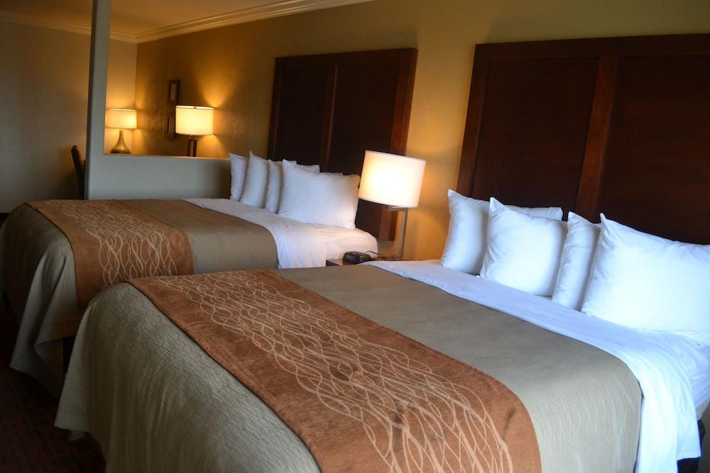 Comfort Inn & Suites Houston Key-Katy photo 8