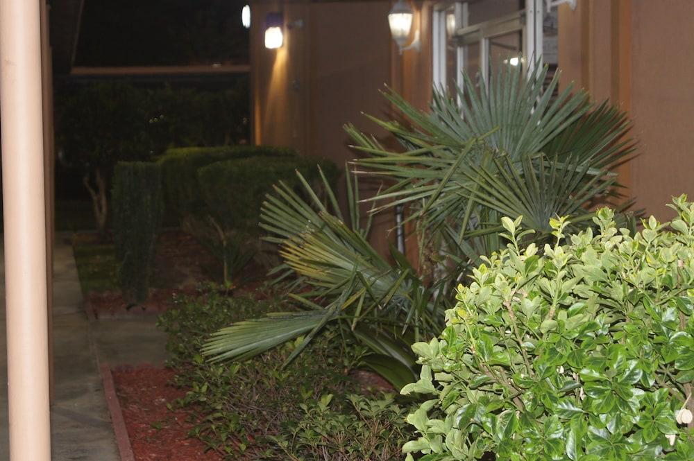 Royal Inn photo 78