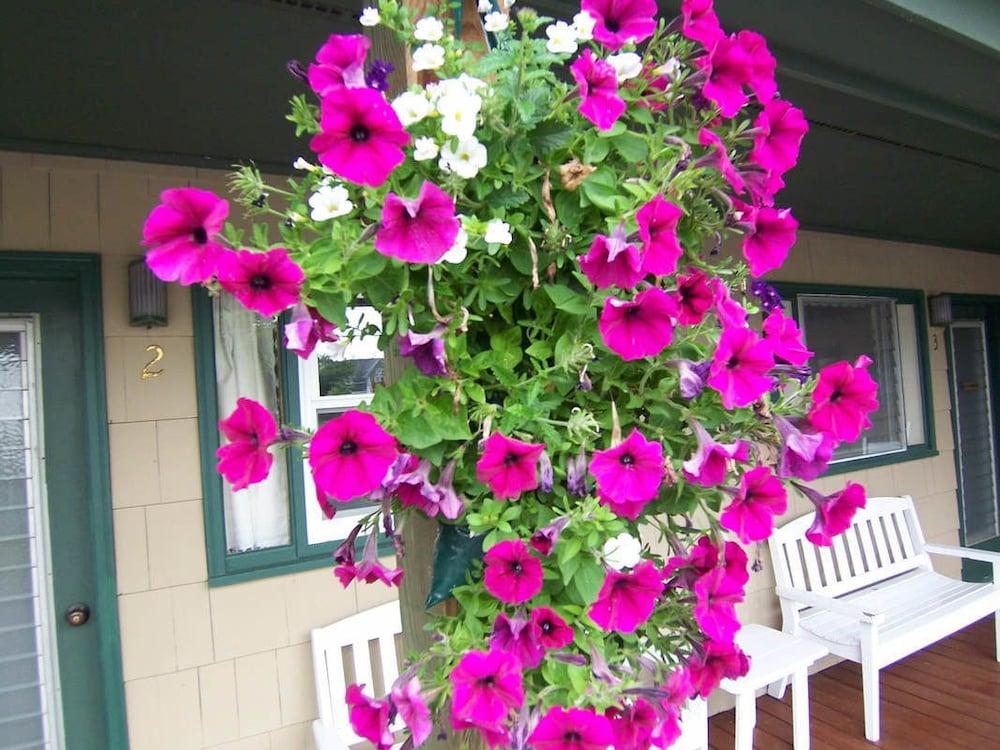 Wooden Boat Inn photo 13