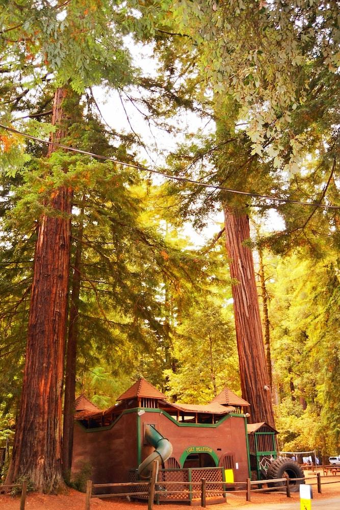 Redwoods River Resort photo 50