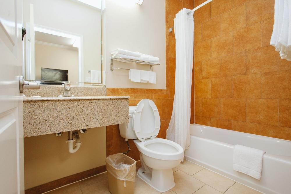Palace Inn Copperfield photo 10