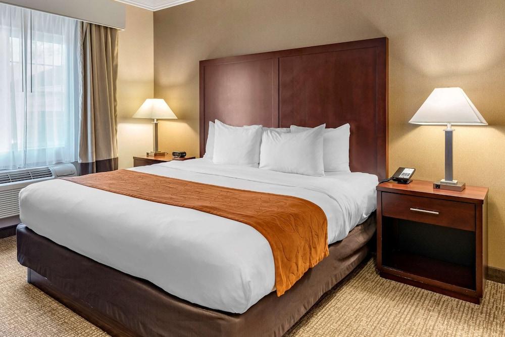 Comfort Suites Linn County photo 63