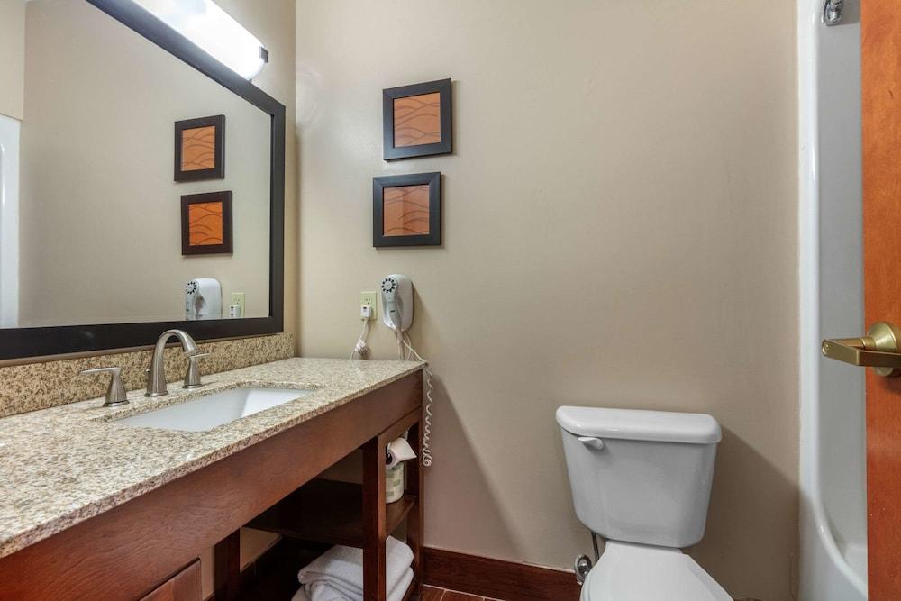 Comfort Suites Rolla photo 45