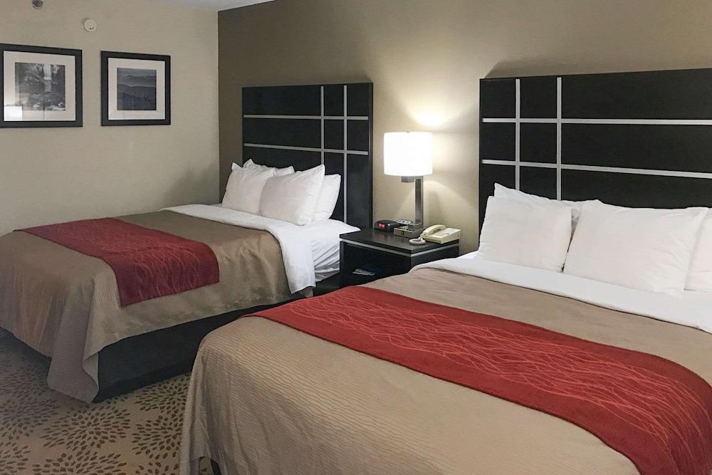 Comfort Inn North of Asheville photo 46