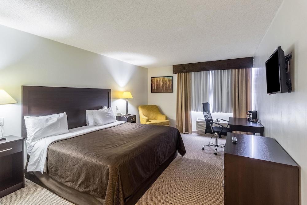 Clarion Inn near McAllen Airport photo 6