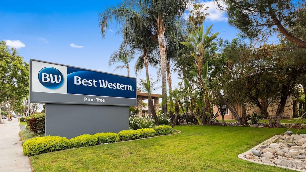 Best Western Pine Tree Motel photo 7