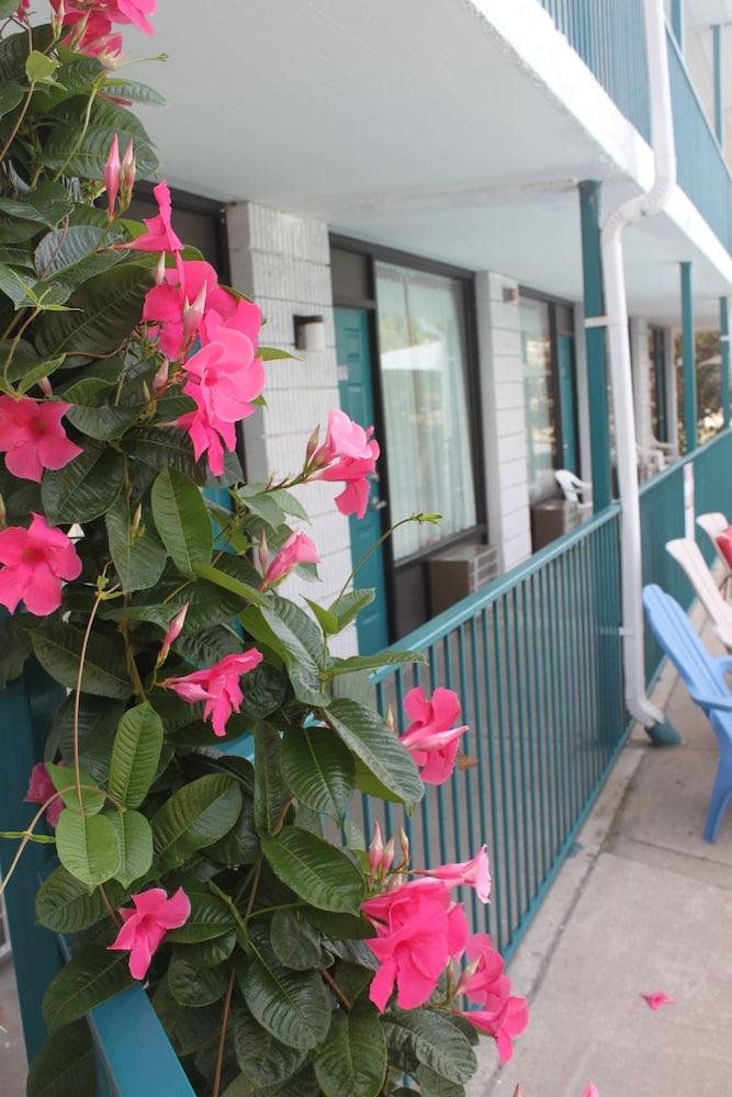 Ozark Valley Inn photo 51