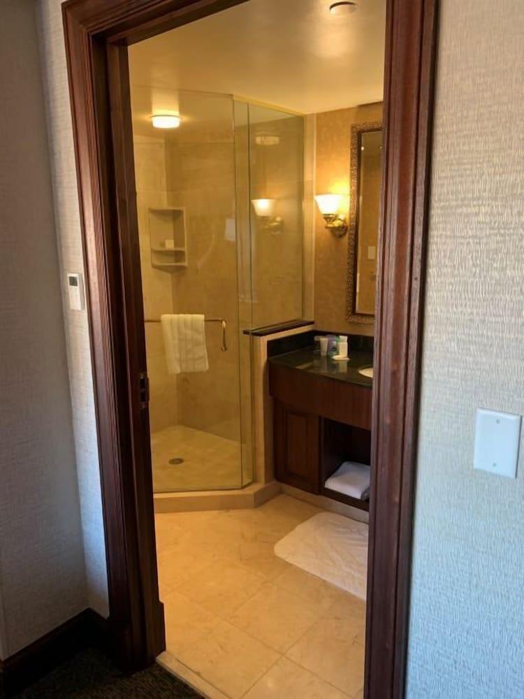The Towers At Kahler Grand Hotel photo 42