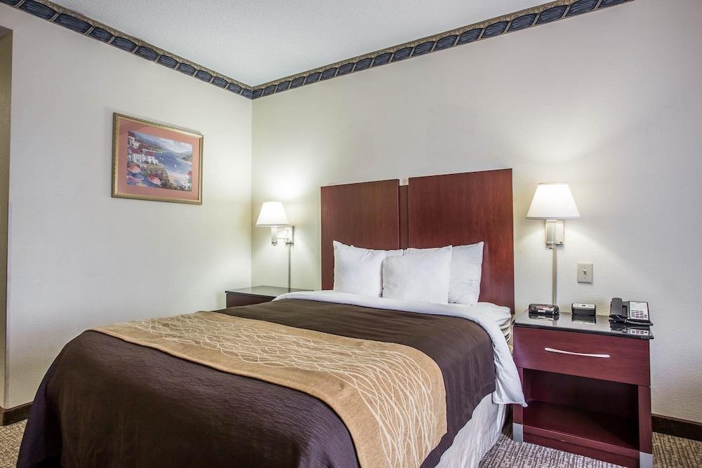 Comfort Inn & Suites Ft. Jackson Maingate photo 16