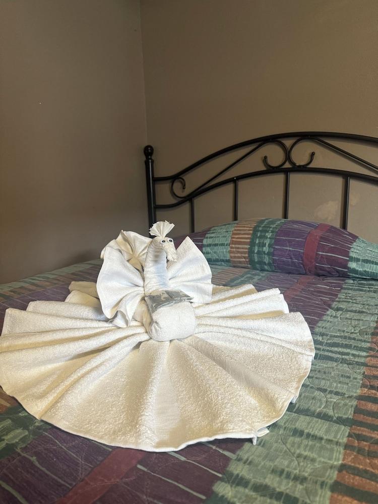 Live In Lodge Extended Stay photo 4