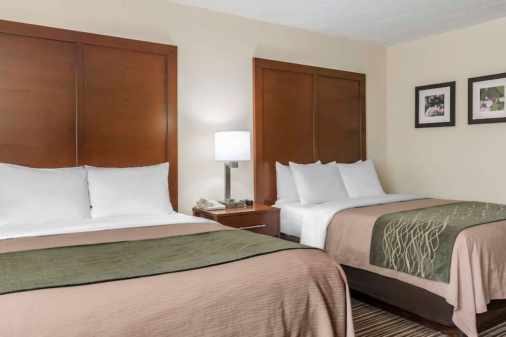 Comfort Inn - Pocono Mountains photo 23