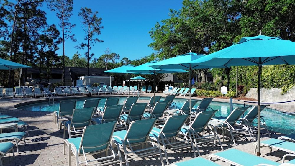 Innisbrook Resort photo 80