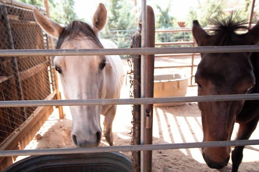 Beeline Guest House photo 47