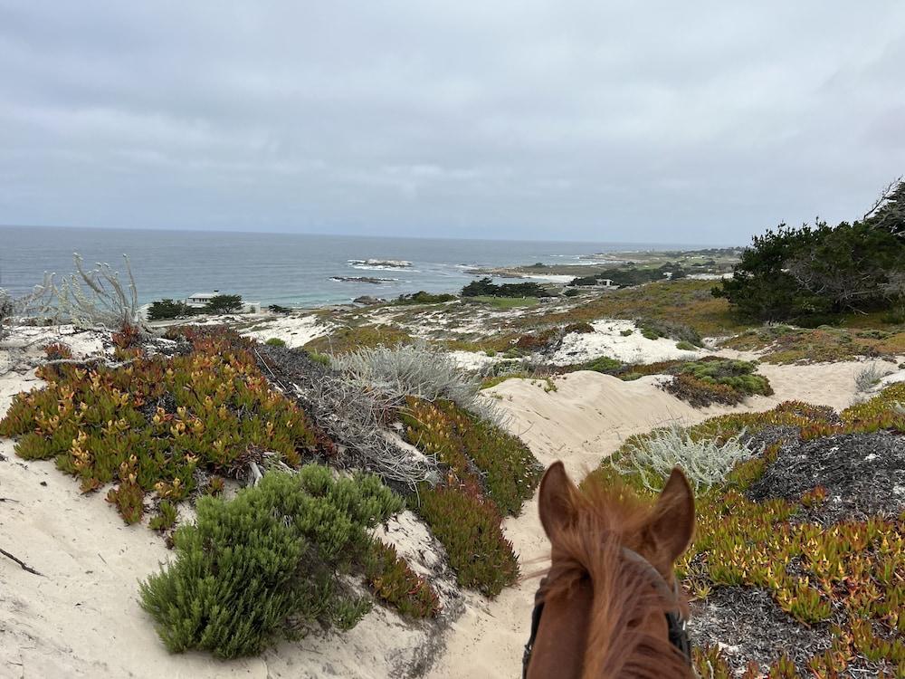 Monarch Valley Inn Marina at Monterey Bay photo 14